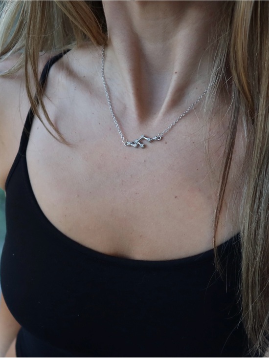Jewelry - Silver Leo Zodiac Constellation Necklace